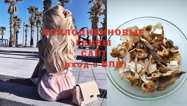 винт Балахна