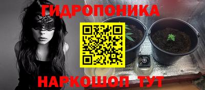 ПСИЛОЦИБИНОВЫЕ ГРИБЫ Гай