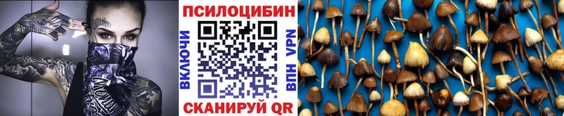 наркотики mega онион Галлюциногенные грибы Magic Shrooms Белебей